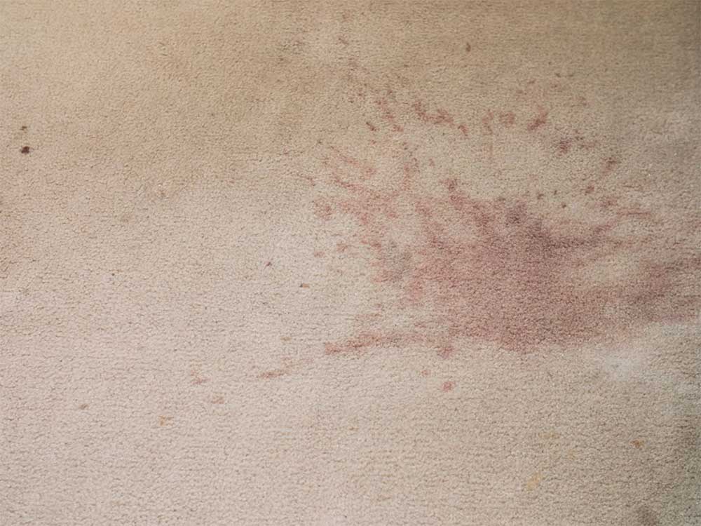 dirty carpet in Houston Home