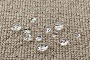 carpet protector in Bellaire, TX home