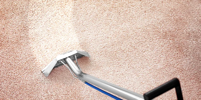 Best season to hire professional carpet cleaning