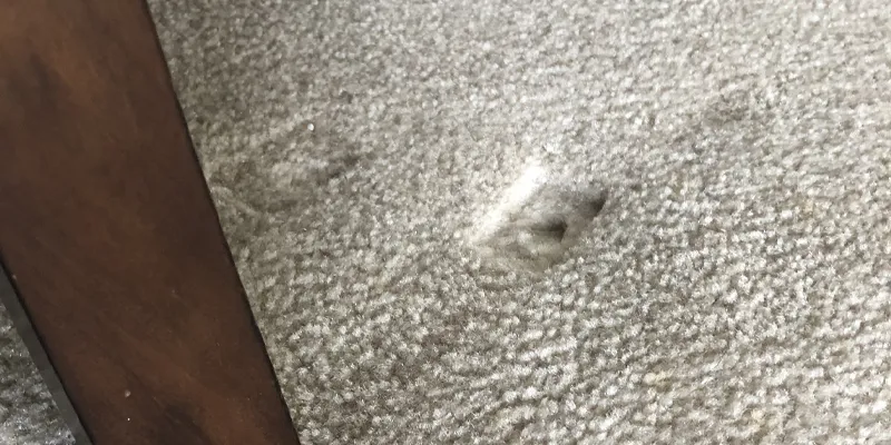 Remove Furniture Marks Dents from Carpets in Greater Houston Area