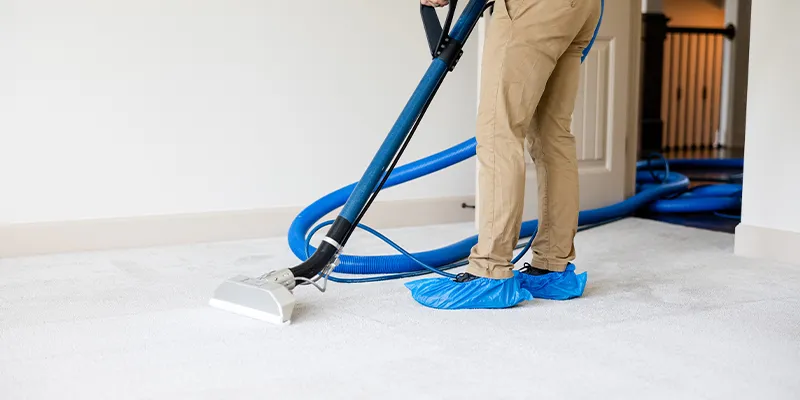 Reasons To Hire a Pro Carpet Cleaner