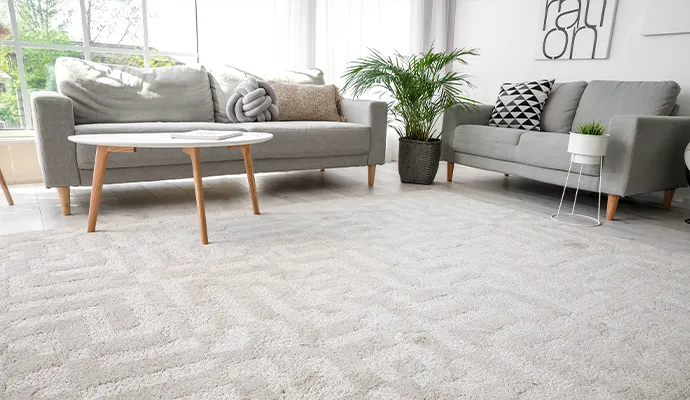 Health Benefits of Professionally Cleaned Carpets