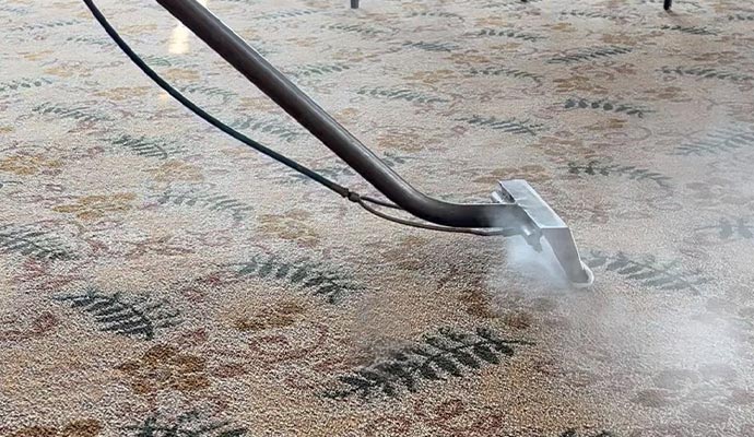 Carpet odor removal service