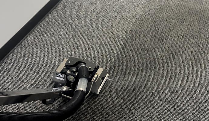 Person cleaning mold from carpet