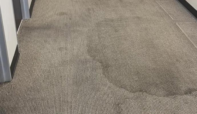 Water stain on carpet