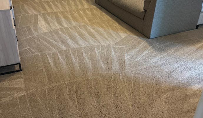 Carpet odor removal