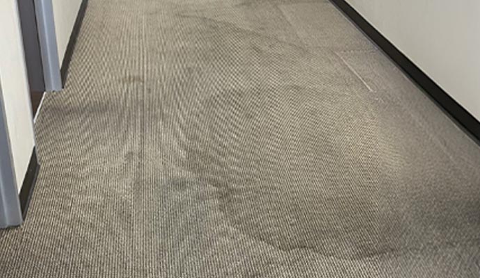 Stain on carpet