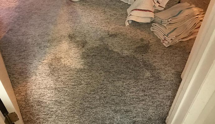 Water damaged carpet