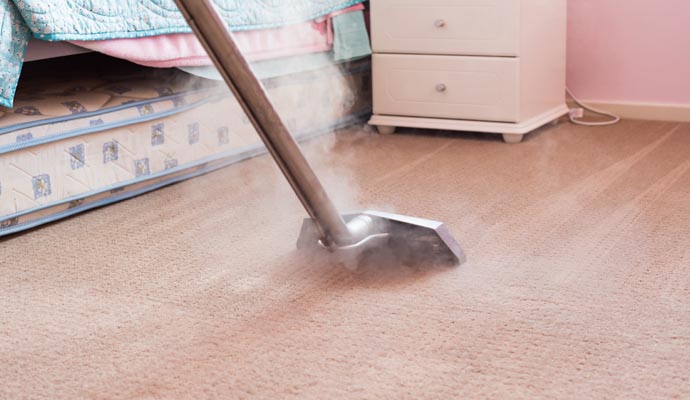 Professional worker cleaning carpet