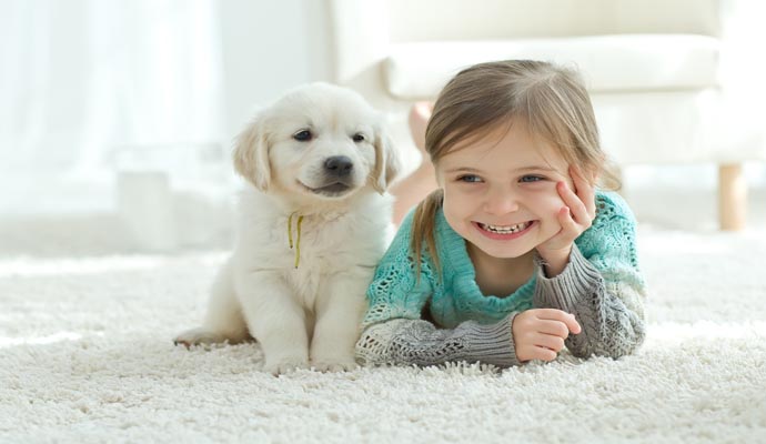 Children playing with pet on the rug