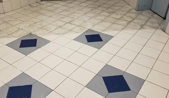 Professional tile and grout cleaning