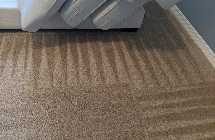 Carpet Cleaning