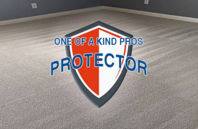 Carpet Protector Professionally Applied