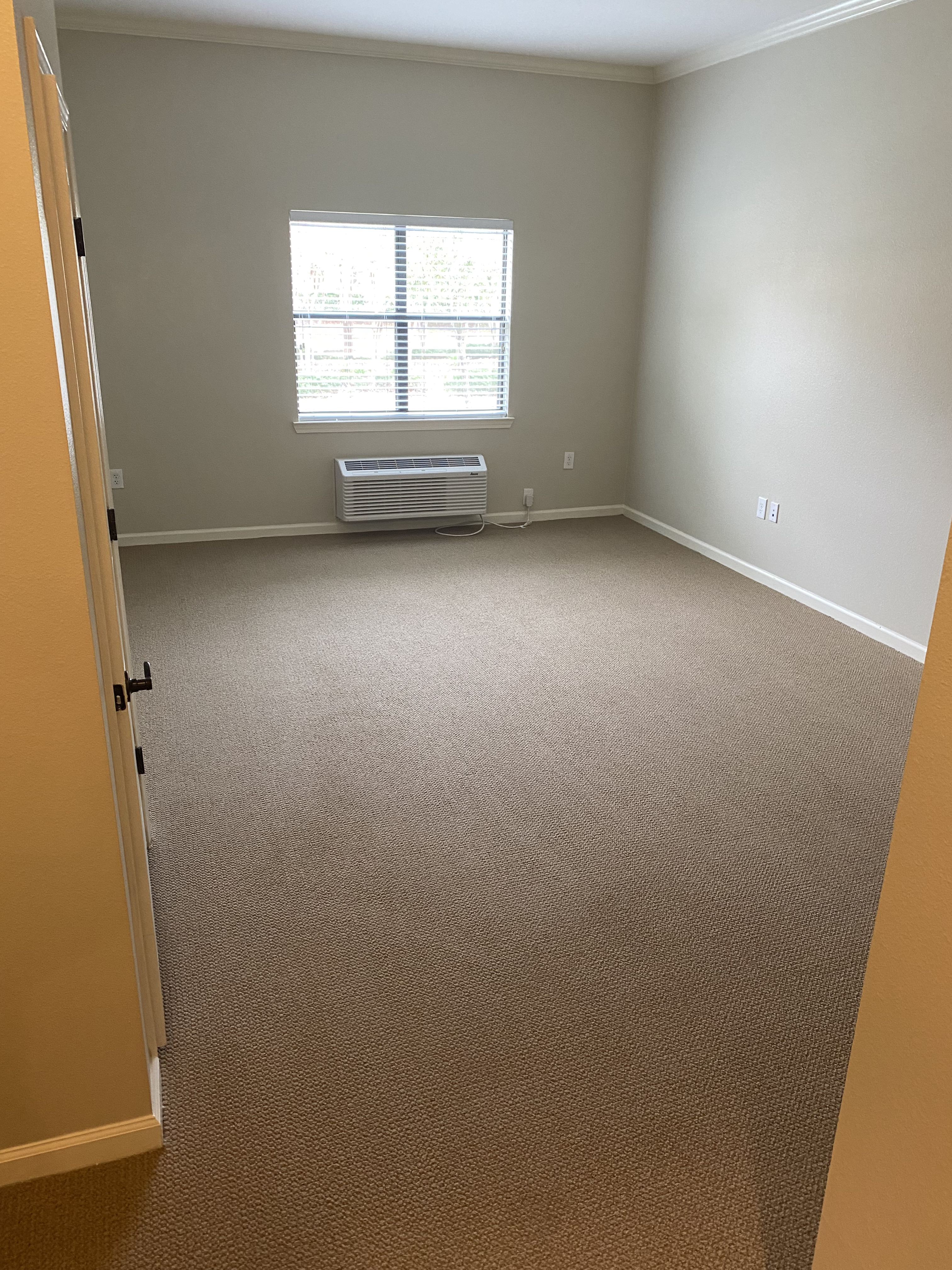 Commercial Carpet Cleaning With Pet Urine Removal