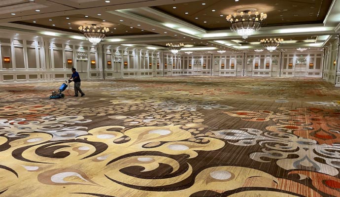 Professional carpet cleaning