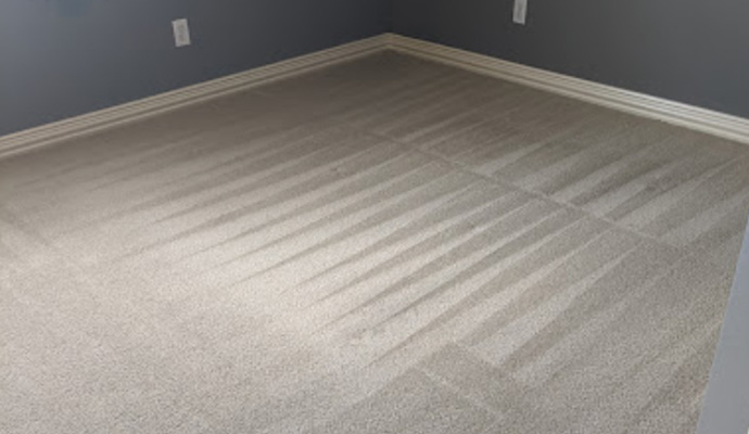 Restoring carpet protector in Jersey Village