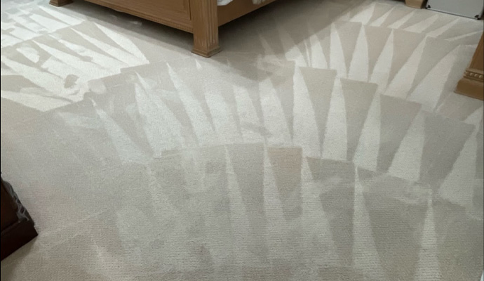 Restore your Carpet Protector for Best Results