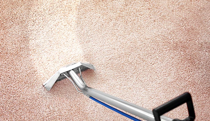 Carpet cleaning